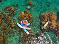 “Trốn” phố thị ồn ào, về Gia Lai ngắm rong mơ nhuộm vàng đáy biển
