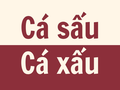 "Cá sấu" hay "cá xấu", đâu mới là cách viết đúng chính tả?