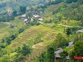 Ban Liên: Un voyage au cœur des traditions et des saisons