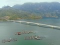 Le lac Quynh Nhai, un lieu de villégiature idyllique du Nord-Ouest