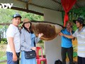U Minh Ha: Là où la forêt se fait légende