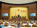 Maintien de la paix: un cap législatif pour le Vietnam