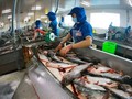 Activer les moteurs de croissance pour franchir le cap des 8% de PIB