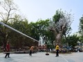 Họa sĩ, nhà thiết kế Tia Thủy Nguyễn và tác phẩm nghệ thuật “Hồi sinh” 