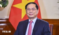 Menlu Bui Thanh Son: Para Pemimpin Vietnam-Rusia Menyepakati 5 Arah Utama dalam Kerjasama Bilateral