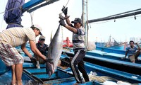 Pekan Laut dan Pulau Vietnam tahun 2020: Melindungi dan mengembangkan sumber hasil laut demi satu samudra biru