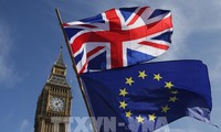 Inggris dan Uni Eropa memulai putaran ke-7 perundingan tentang hubungan bilateral pasca Brexit