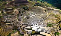 Keindahan Sawah Terasering pada Musim Air Tumpah 