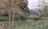 Budidaya Ikan “Bong” di Kabupaten Bao Yen, Provinsi Lao Cai