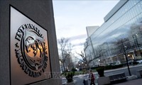 IMF Tingkatkan Prakiraan Pertumbuhan Ekonomi Dunia pada Tahun 2024