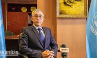 Wakil Dirjen UNESCO: Vietnam Merupakan Model Kerja Sama yang Efektif antara UNESCO dan Negara-Negara Anggota