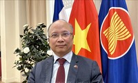 Dubes Dinh Toan Thang: Vietnam Tegaskan Komitmen Tertinggi terhadap Perkembangan Komunitas Francophonie