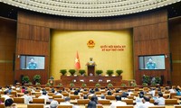 Menyempurnakan Payung Hukum agar supaya Vietnam Memberikan Kontribusi pada Perdamaian Dunia