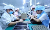 ASEAN Dorong Kesetaraan Gender dalam Bisnis dan HAM