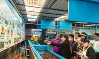 Pulau Koh Si-Chang: Mengkonservasikan Rajungan Biru dan Memperbaiki Mata Pencaharian Masyarakat