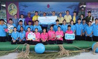 Kaum Nelayan di Pulau Koh Sichang Bersama dengan Proses Membuat “Rumah untuk Ikan”