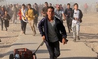 Barang Bantuan Kemanusiaan Masih Sangat Kurang Dibandingkan dengan Kebutuhan Rakyat Gaza
