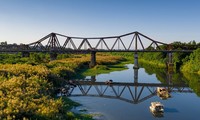 Discovering stunning white grass flowers around Long Bien bridge