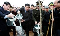 El presidente de Vietnam inaugura movimiento del cultivo de árboles