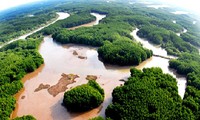 Plan de acción nacional para enfrentar el cambio climático en 2012-2020