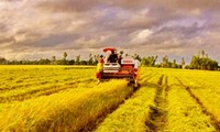 Green-Biz 2013, una solución comercial para un desarrollo verde y sostenible 