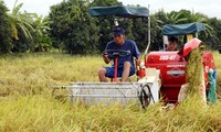 Vietnam prioriza inversiones en desarrollo agrícola