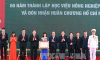 Vietnam planea convertir agricultura en ejemplo de desarrollo sectorial