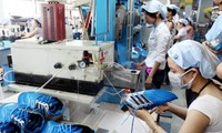 Exportaciones de cuero y calzado de Vietnam se prevén alcanzar 18 mil millones de dólares en 2017