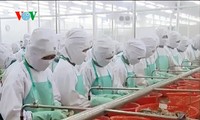 Vietnam considera a Asia como un mercado potencial de exportación de camarones