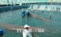 Vietnam insiste en renovar la pesca cumpliendo con las normas europeas