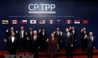 Acuerdo Integral y Progresivo para Asociación Transpacífica apoya integración mundial de Vietnam