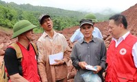 Cruz Roja de Vietnam fortalece la cooperación internacional  