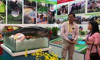 Vietnam fortalece aplicación de avances tecnológicos en la producción agrícola