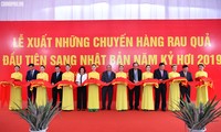 Primer ministro de Vietnam ensalza el modelo de producción agrícola de Doveco