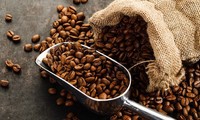 Tailandia incrementa la compra de café vietnamita 