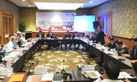 Vietnam y Países Bajos consolidan cooperación agrícola