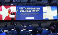 Foro Empresarial Vietnam-Suecia confirma la cooperación multisectorial entre ambos países