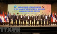 Vietnam contribuye a cooperación agrosilvícola entre Asean y región del noreste de Asia