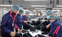 Vietnam promueve el desarrollo del mercado laboral