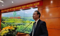 Vietnam determinado a aumentar exportaciones silvícolas en 2020