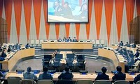 Consolidan cooperación Vietnam-Rusia en la ONU