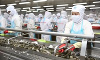 Vietnam por diversificar mercados para desarrollarse y enfrentar pandemia