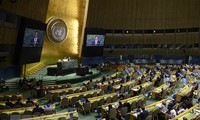 Desafíos y expectativas planteados al Consejo de Seguridad de la ONU y sus nuevos miembros permanentes