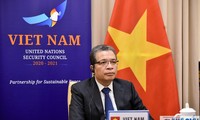 Vietnam por solucionar pacíficamente el conflicto entre Israel y Palestina