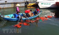 Lanzan concurso de creación de clip sobre la preservación ambiental de Vietnam