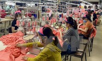 Perspectivas favorables para las empresas europeas en Vietnam pese a los impactos del covid-19