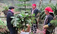 De hierbas tradicionales para bañarse a una marca millonaria