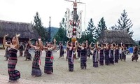 La ceremonia de agradecimiento a los suegros de la etnia Co Tu en Quang Nam