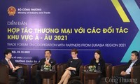 Nichos de mercado para mercancías vietnamitas en Asia y Europa