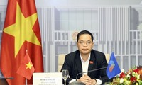 Fortalecen la asociación estratégica Vietnam-India